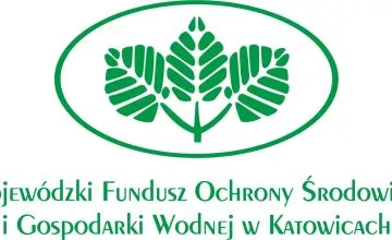 Zielona szkoła - profilaktyka zdrowotna dzieci